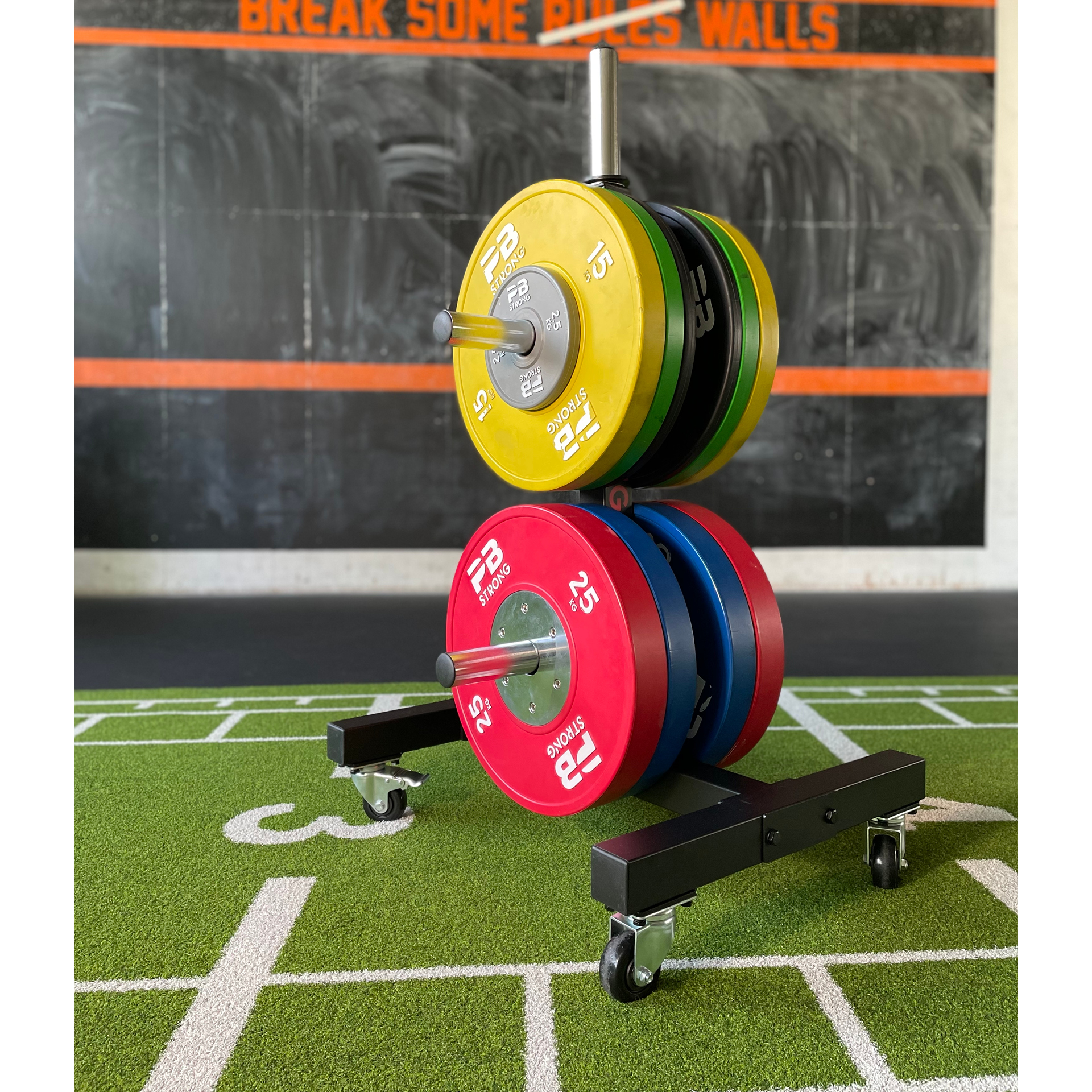 PB Strong Scheibenablage Baum vertikal rollbar