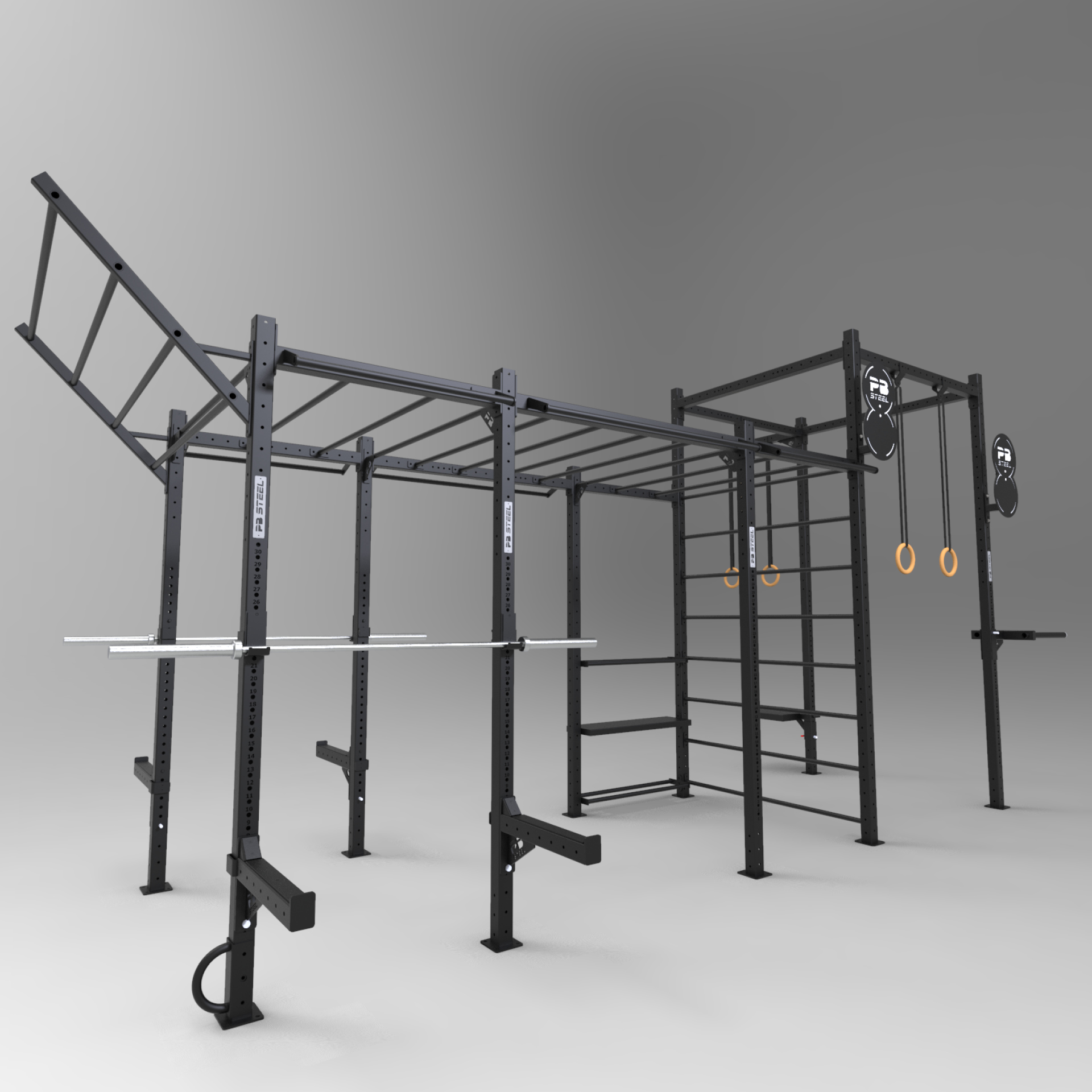 PB Steel Functional RIG