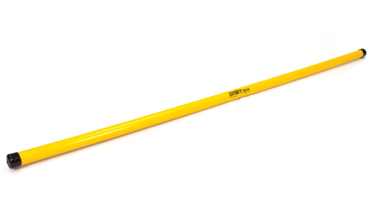 Smart Stick 