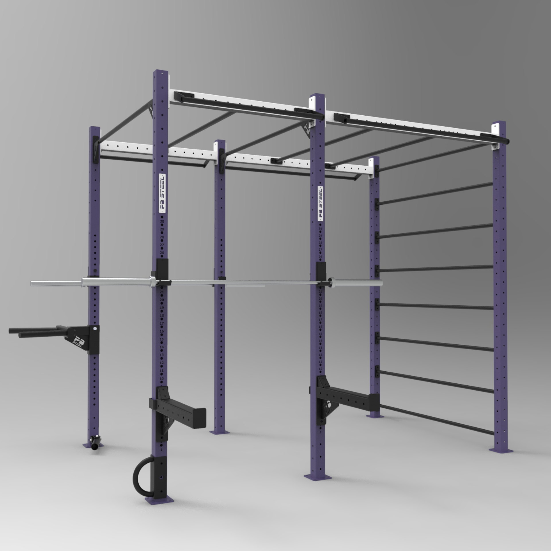 PB Steel Fitness RIG