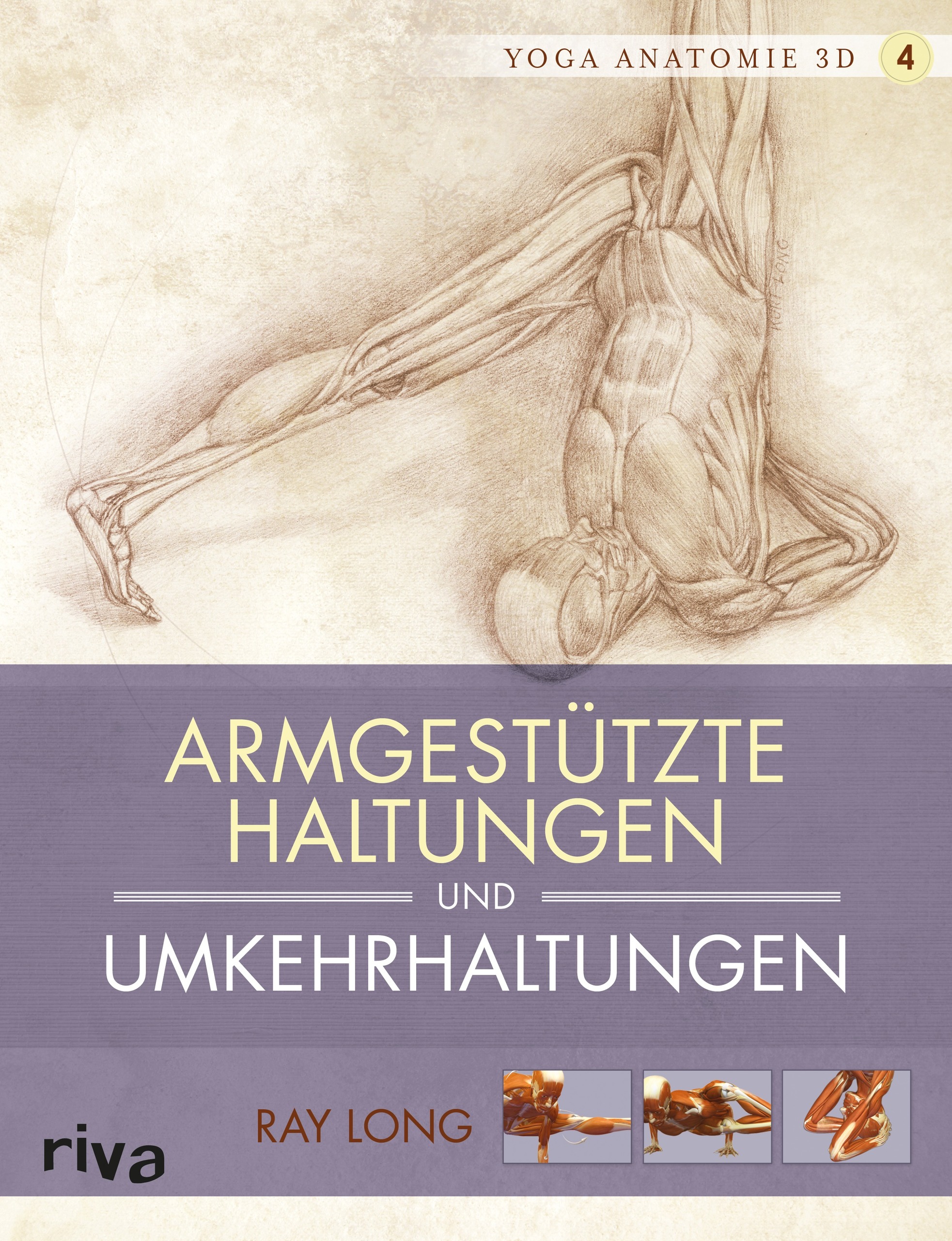 Yoga-Anatomie 3D - 4 - Armgestützte Haltungen und Umkehrhaltungen (Buch)