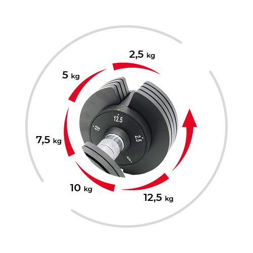 Quick weight adjustment