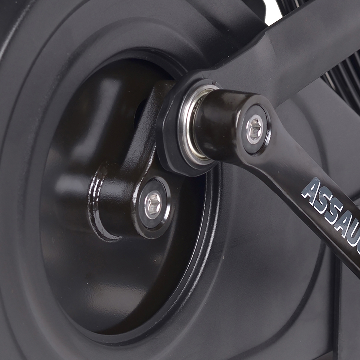 Assault Air Bike Classic