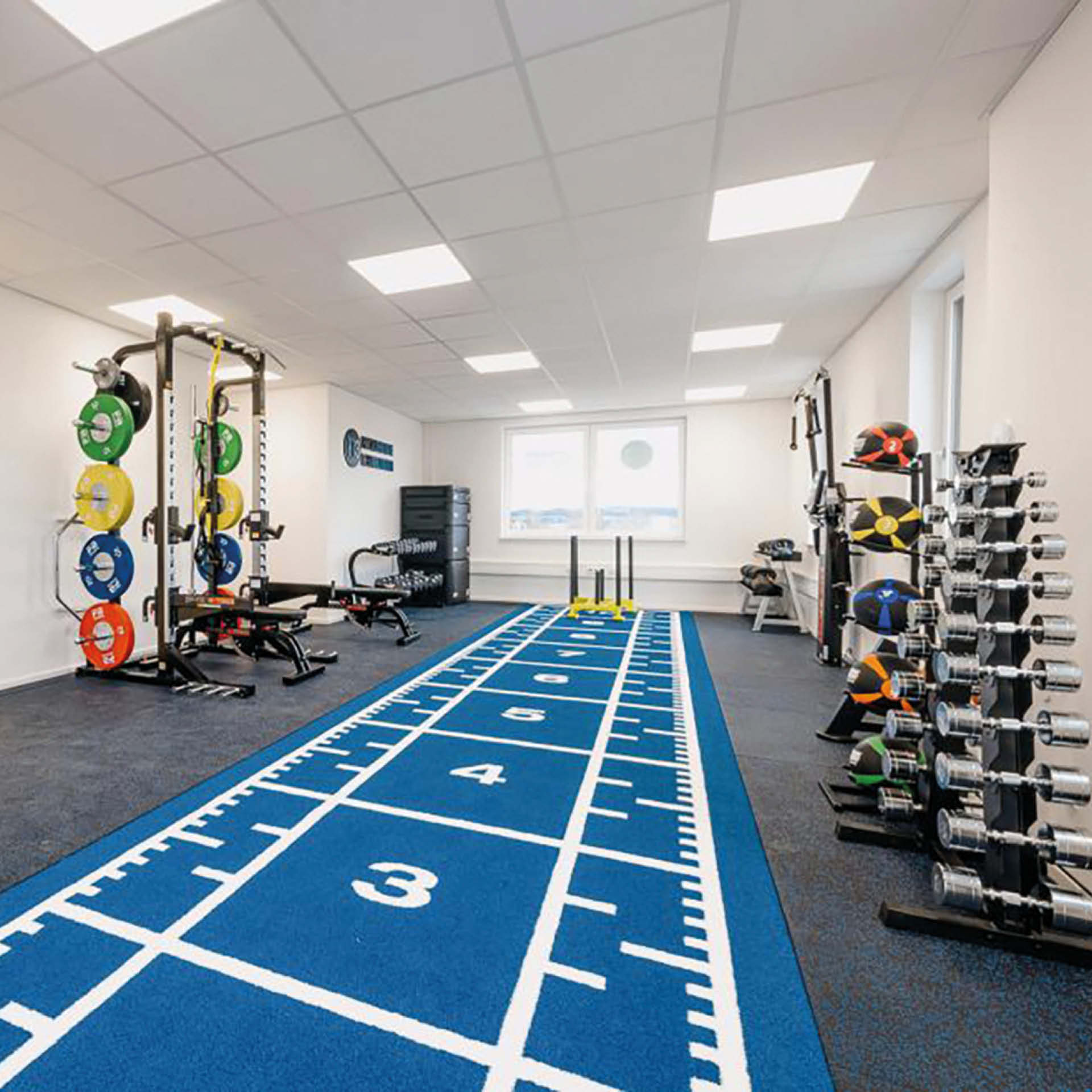 PB Flooring Turf