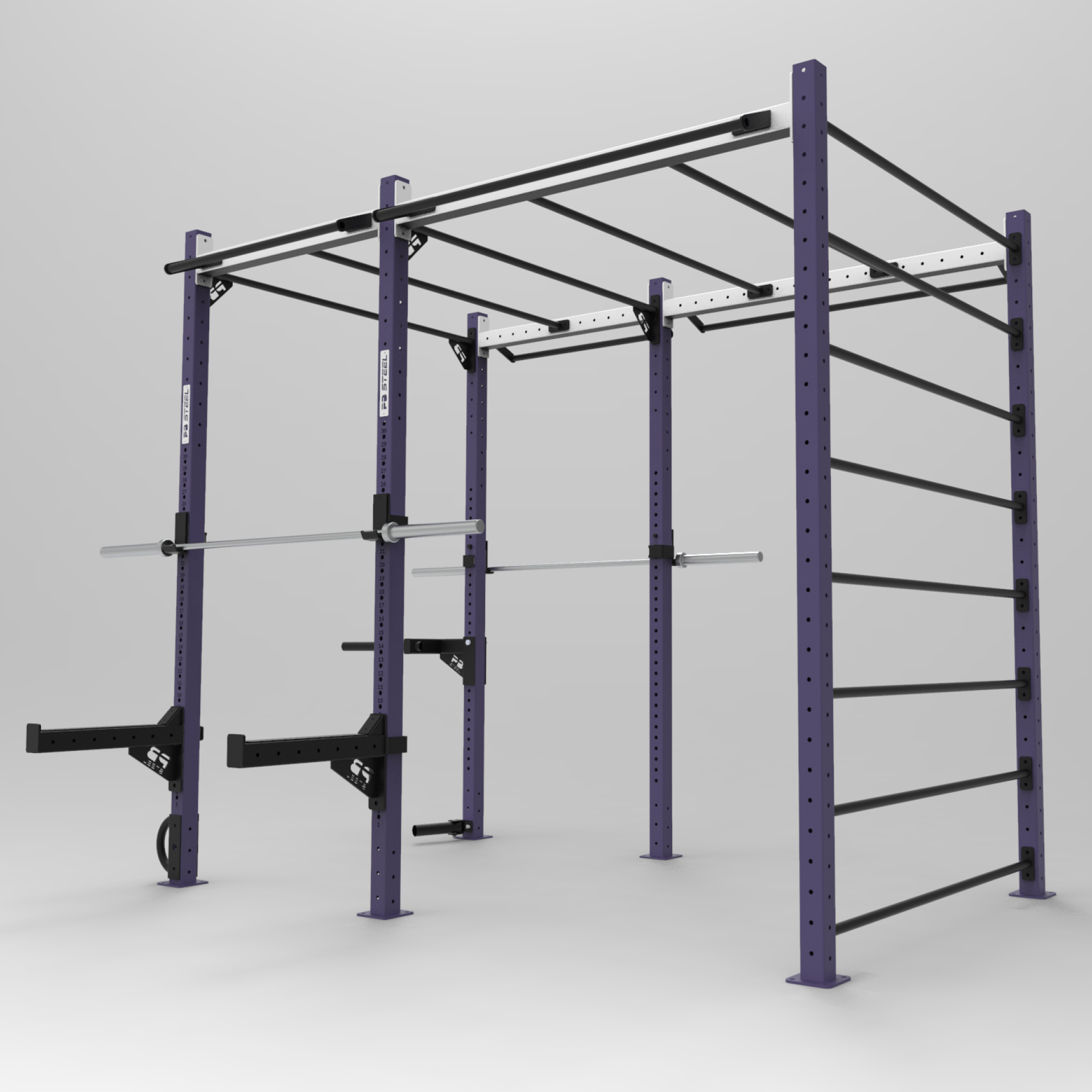 PB Steel Fitness RIG