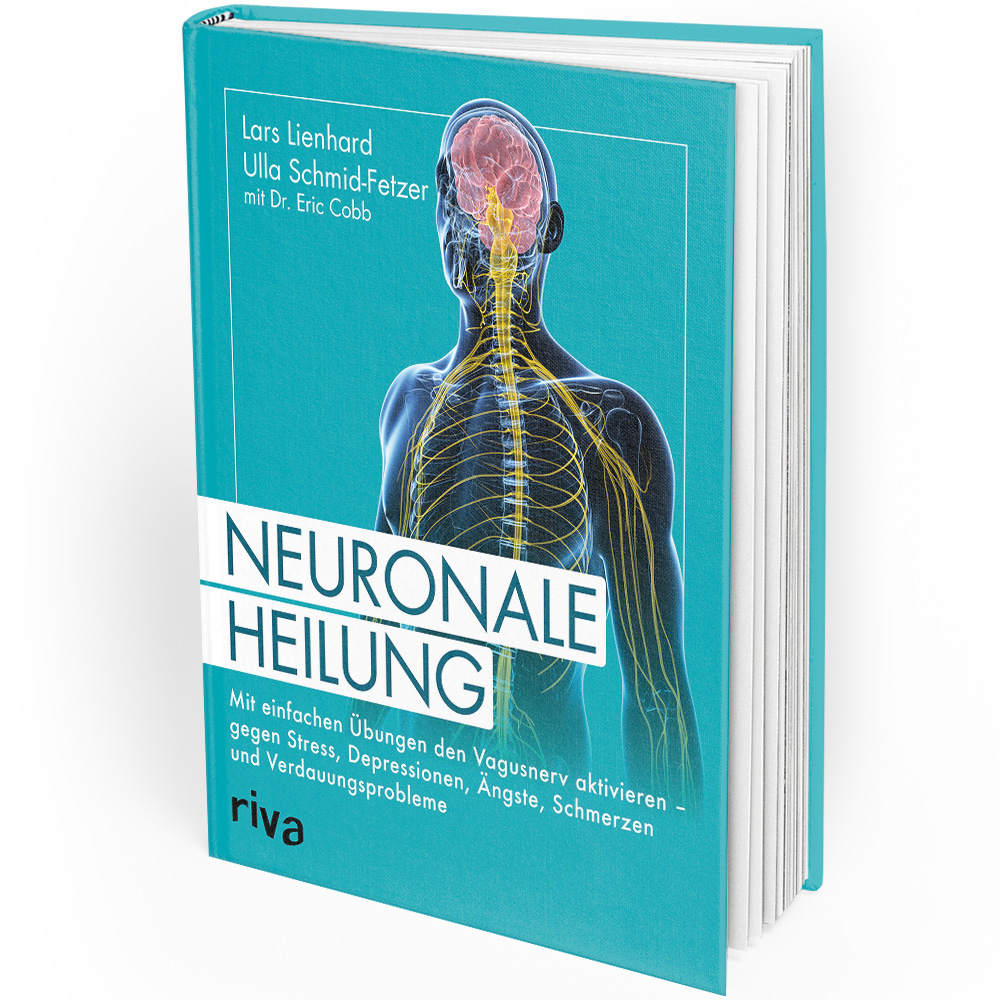 Neuronal Healing (Book)