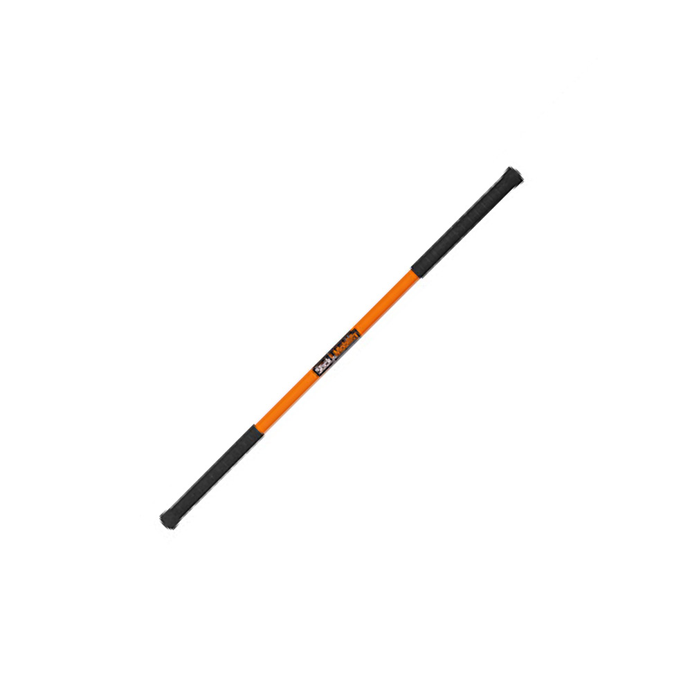 Mobility Stick