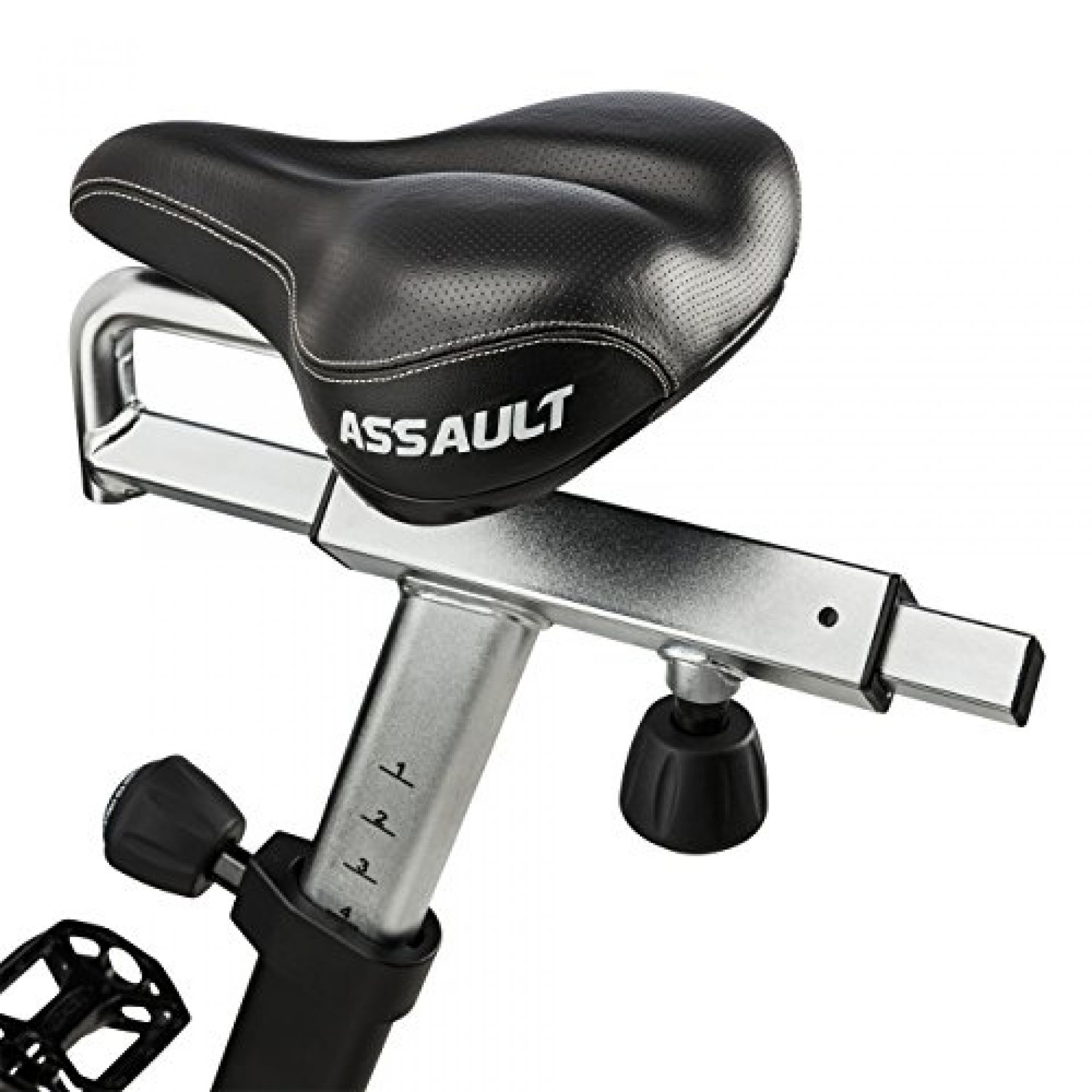 assault air bike pro