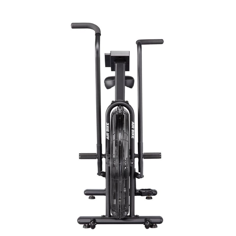 assault air bike pro